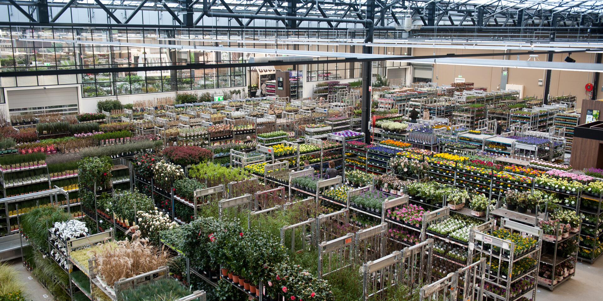 Waterdrinker Aalsmeer - klantcase VdS Nederland