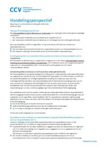 CCV - Handelingsperspectief